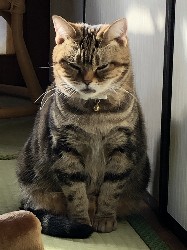 ����[�P�l