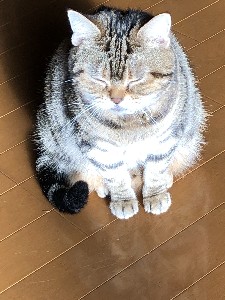 ����[�ۂ��ۂ�