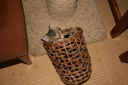 �S�~����