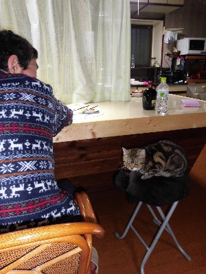 ����[�ƌ�