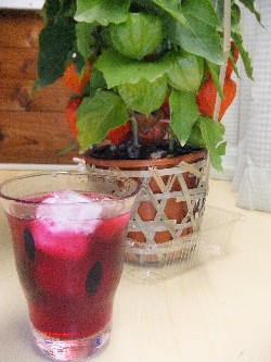 ���h�W���[�X